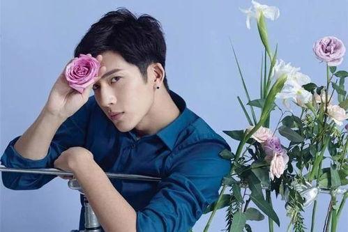 网友爆料井柏然事件视频,网友热议真相与疑点